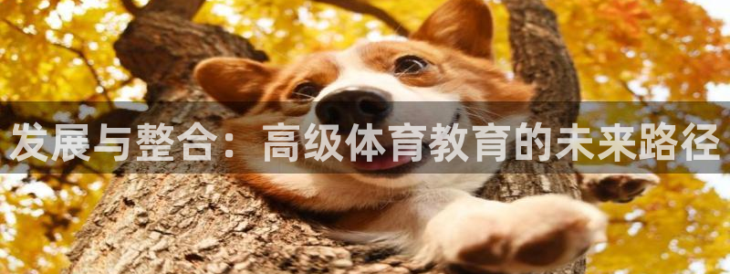 发展与整合：高级体育教育的未来路径