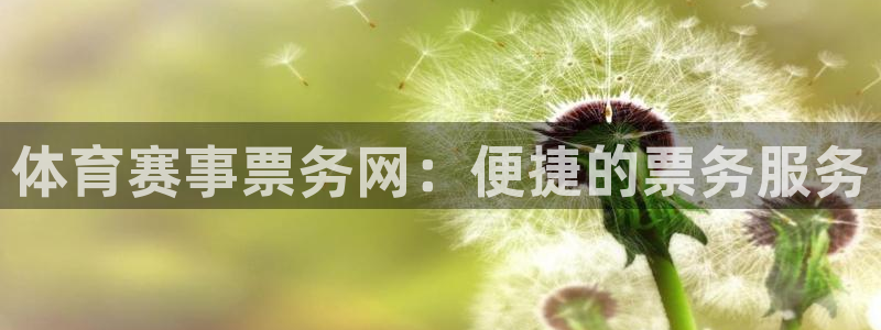 体育赛事票务网：便捷的票务服务
