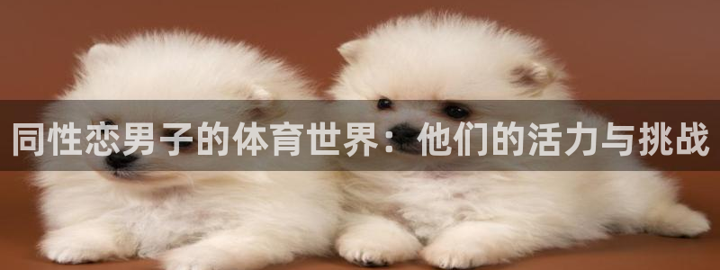 同性恋男子的体育世界：他们的活力与挑战