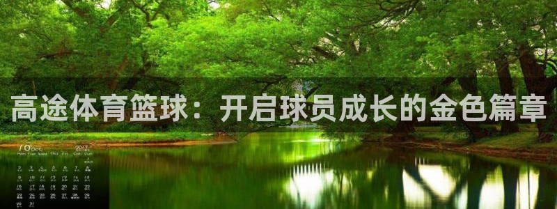 高途体育篮球：开启球员成长的金色篇章