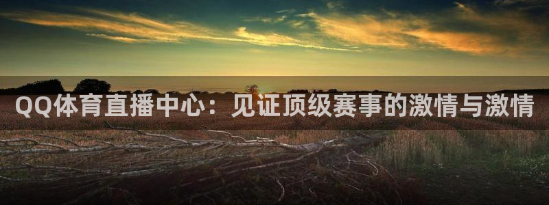 QQ体育直播中心：见证顶级赛事的激情与激情