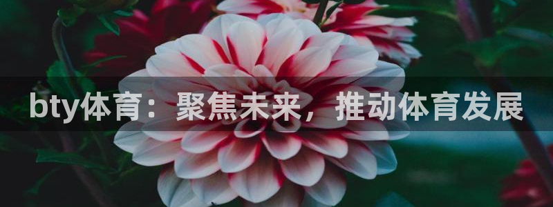bty体育：聚焦未来，推动体育发展