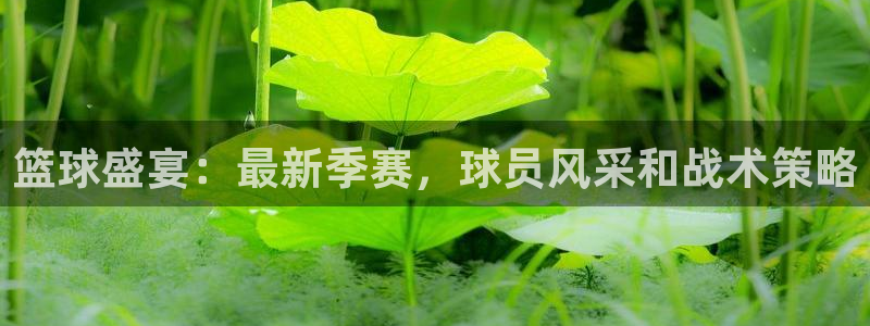沐鸣娱乐