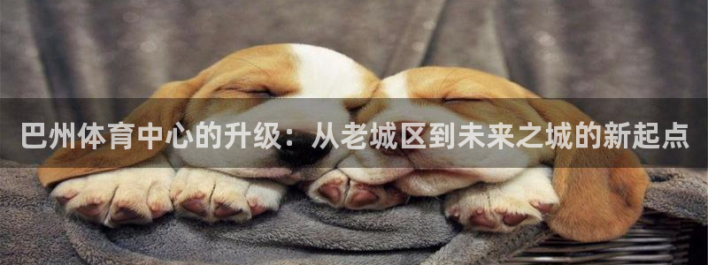 沐鸣代理