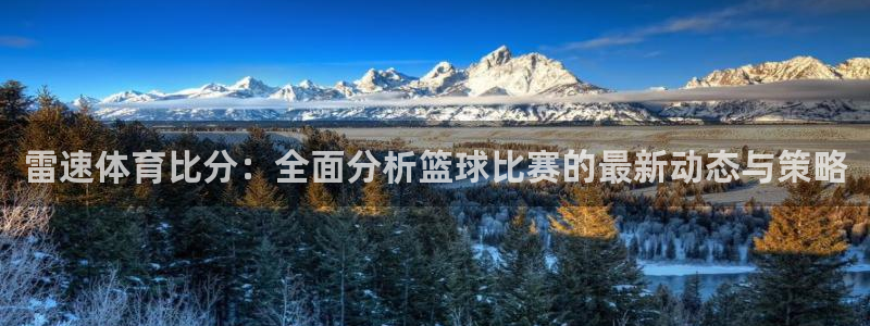 沐鸣2平台：雷速体育比分：全面分析篮球比赛的最新动态与策略