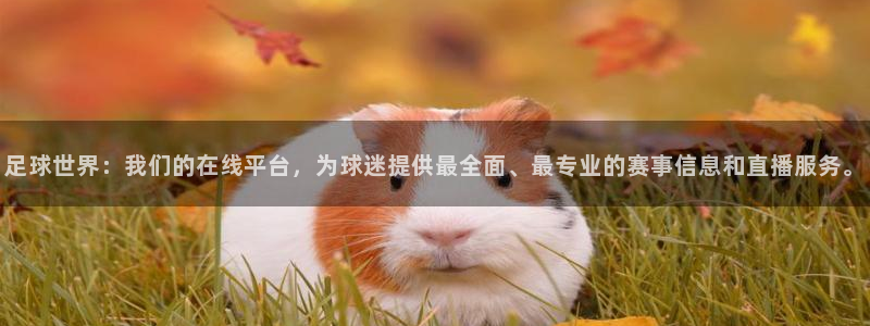 沐鸣3注册：足球世界：我们的在线平台，为球迷提供最全面、最专业的赛事信息和直播服务。