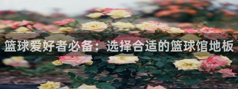 福建沐鸣机电股份公司：篮球爱好者必备：选择合适的篮球馆地板
