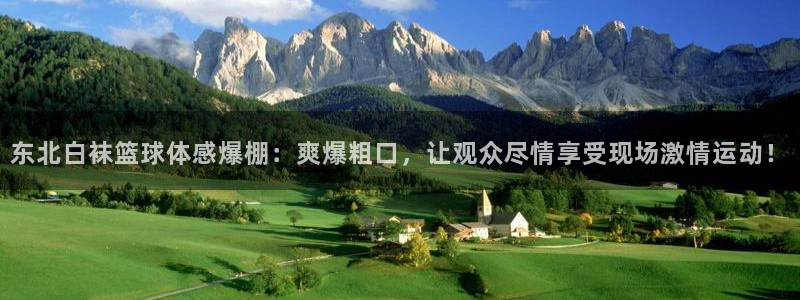 沐鸣登录注册：东北白袜篮球体感爆棚：爽爆粗口，让观众尽情享受现场激情运动！