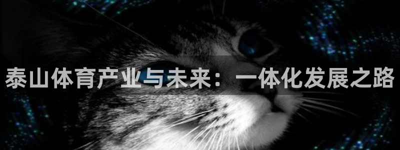 沐鸣登录网址：泰山体育产业与未来：一体化发展之路